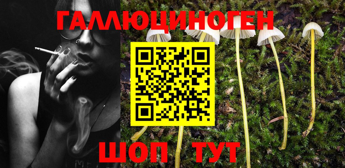 Галлюциногенные грибы мицелий Кимры